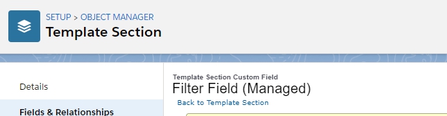 Salesforce CPQ  Filter Field on Template Section
